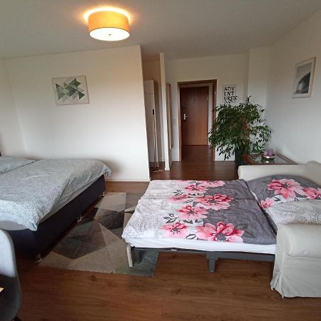 Exklusives Apartment Zw. Lu Und Speyer Mit Aufzug Neuhofen Eksteriør bilde