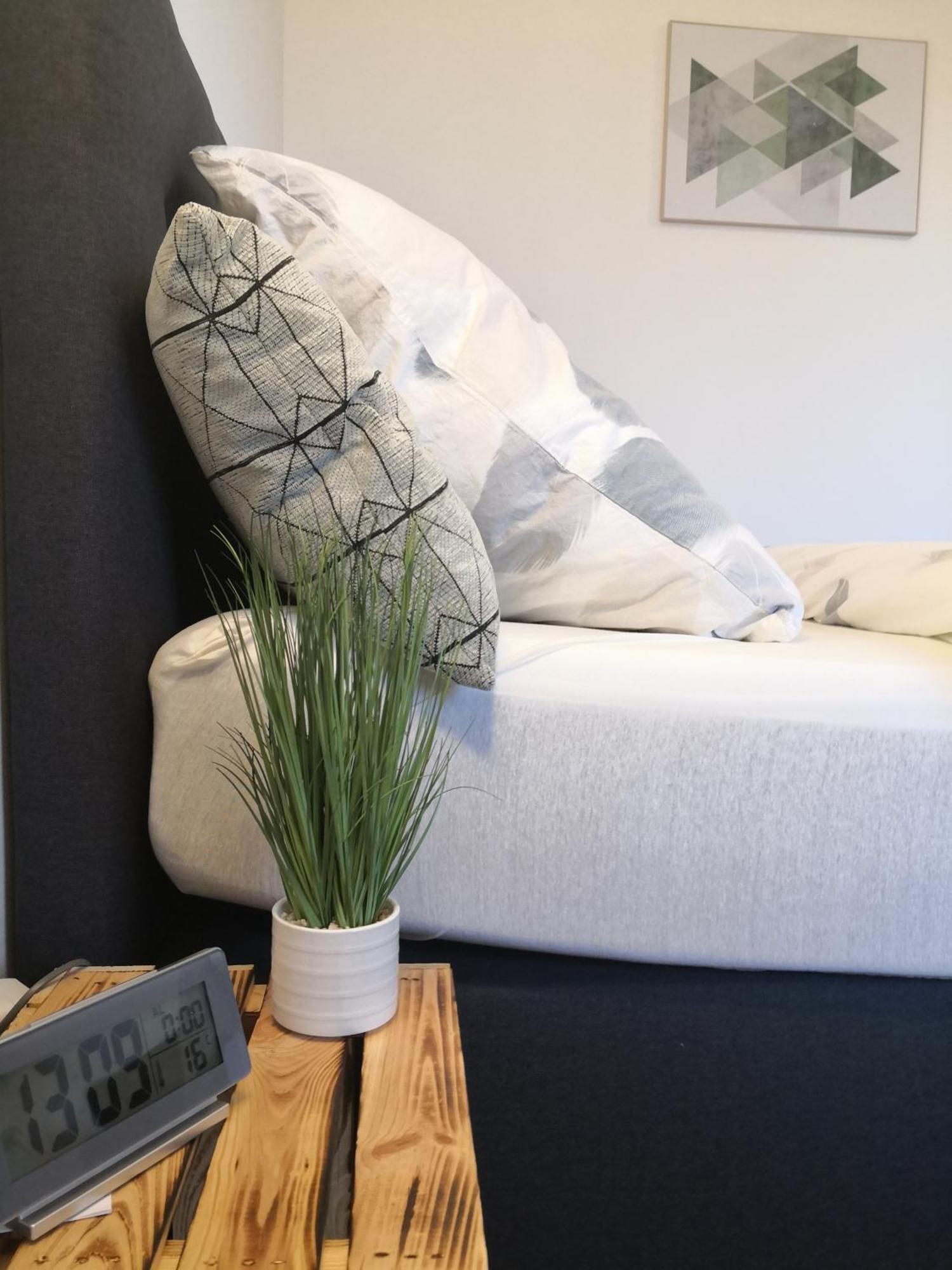 Exklusives Apartment Zw. Lu Und Speyer Mit Aufzug Neuhofen Eksteriør bilde